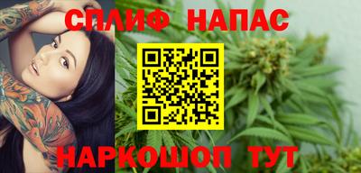 крисы Будённовск